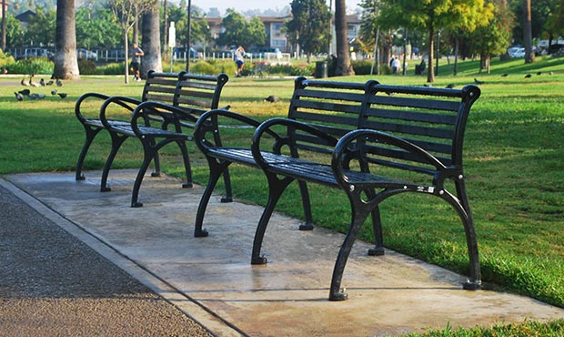 Blog Project Highlight Echo Park Lake